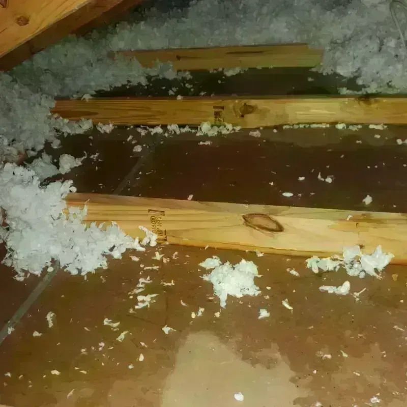 Attic Water Damage in Mabscott, WV